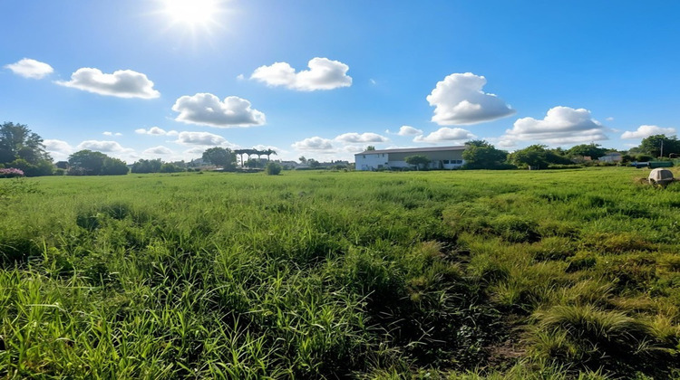 Ma-Cabane - Vente Terrain SAINTE ANNE, 3441 m²