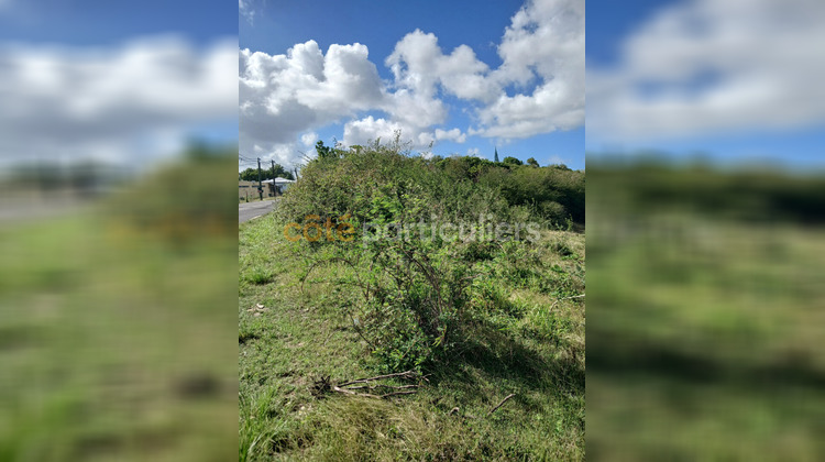 Ma-Cabane - Vente Terrain SAINTE-ANNE, 1966 m²