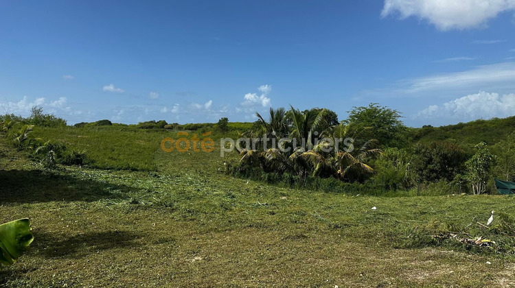 Ma-Cabane - Vente Terrain SAINTE-ANNE, 779 m²