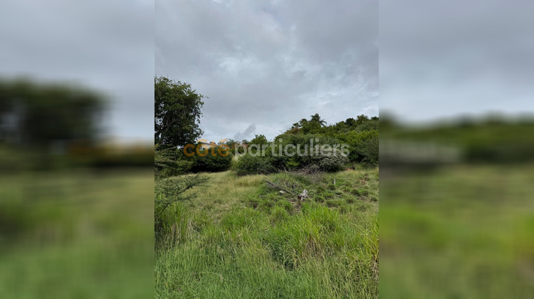 Ma-Cabane - Vente Terrain SAINTE-ANNE, 1735 m²