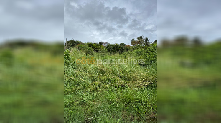 Ma-Cabane - Vente Terrain SAINTE-ANNE, 1735 m²