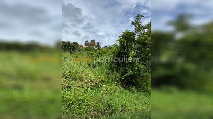 Ma-Cabane - Vente Terrain SAINTE-ANNE, 1735 m²