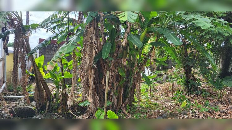 Ma-Cabane - Vente Terrain Sainte-Anne, 880 m²