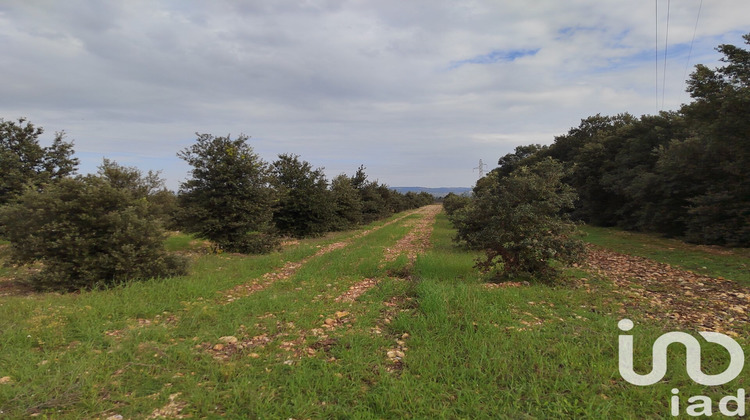 Ma-Cabane - Vente Terrain Sainte Cécile les Vignes, 5708 m²