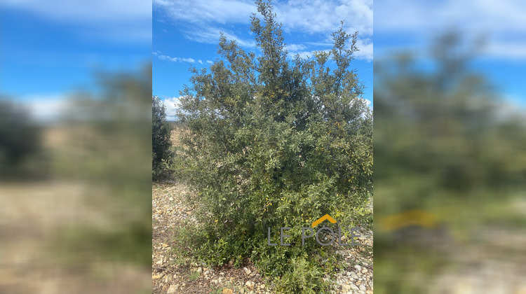 Ma-Cabane - Vente Terrain SAINTE-CECILE-LES-VIGNES, 5708 m²