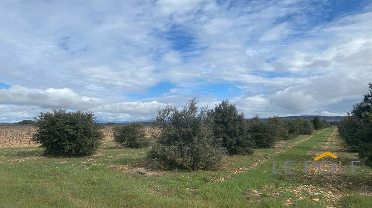 Ma-Cabane - Vente Terrain SAINTE-CECILE-LES-VIGNES, 5708 m²