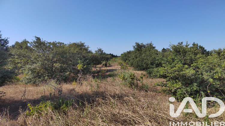 Ma-Cabane - Vente Terrain Sainte Cécile les Vignes, 6160 m²