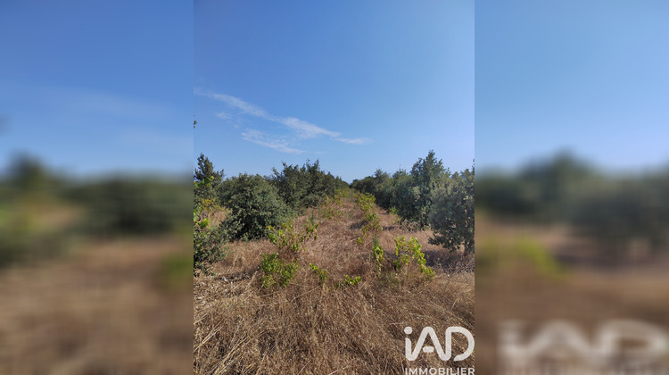 Ma-Cabane - Vente Terrain Sainte Cécile les Vignes, 6160 m²