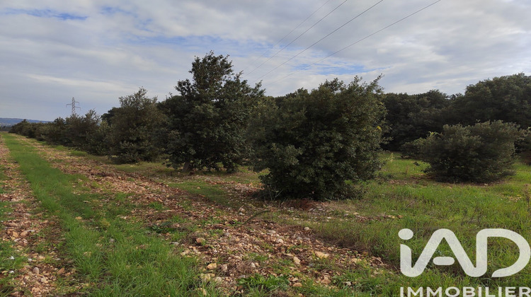 Ma-Cabane - Vente Terrain Sainte Cecile les Vignes, 5708 m²