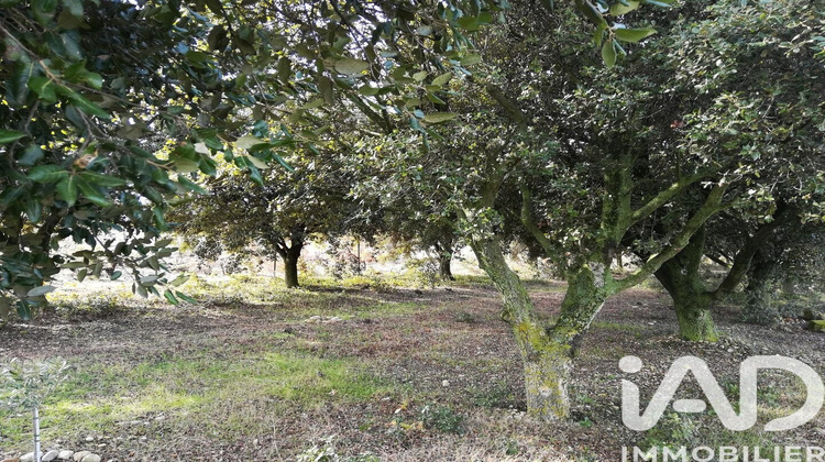 Ma-Cabane - Vente Terrain Sainte Cecile les Vignes, 1368 m²