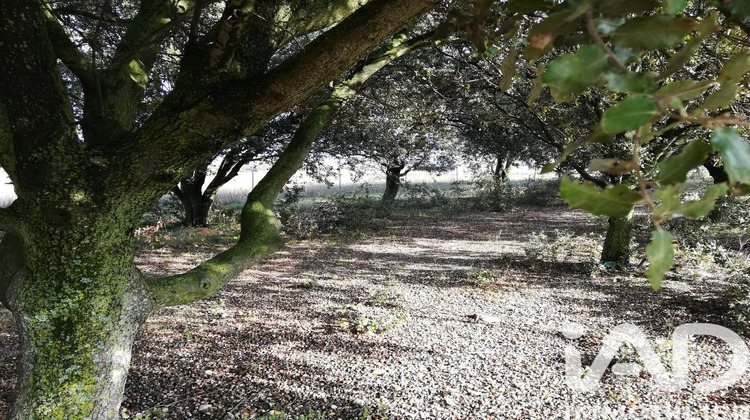 Ma-Cabane - Vente Terrain Sainte Cecile les Vignes, 1368 m²