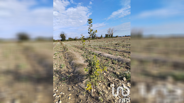Ma-Cabane - Vente Terrain Sainte Cécile les Vignes, 4952 m²