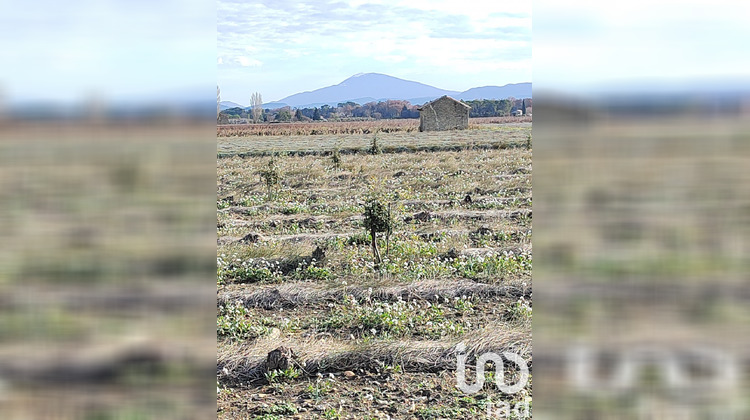 Ma-Cabane - Vente Terrain Sainte Cécile les Vignes, 4952 m²
