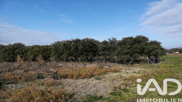 Ma-Cabane - Vente Terrain Sainte Cecile les Vignes, 1368 m²