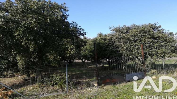 Ma-Cabane - Vente Terrain Sainte Cecile les Vignes, 1368 m²