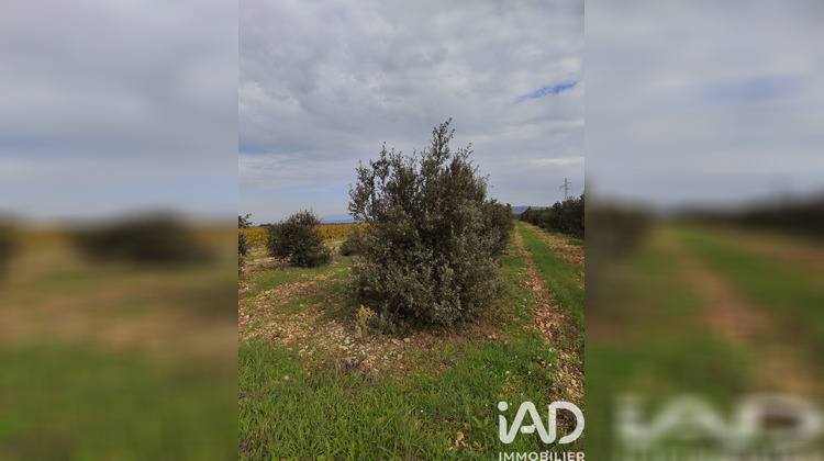 Ma-Cabane - Vente Terrain Sainte Cecile les Vignes, 5708 m²