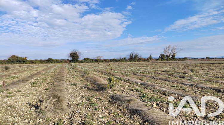 Ma-Cabane - Vente Terrain Sainte Cecile les Vignes, 4952 m²