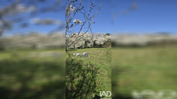 Ma-Cabane - Vente Terrain Sainte-Euphémie, 1213 m²