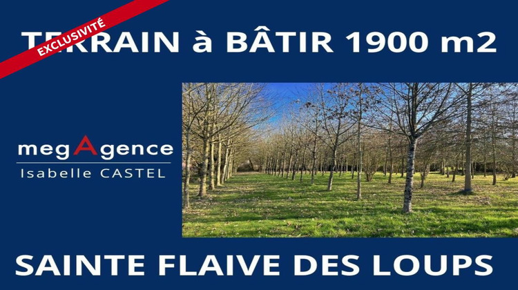 Ma-Cabane - Vente Terrain SAINTE FLAIVE DES LOUPS, 1900 m²
