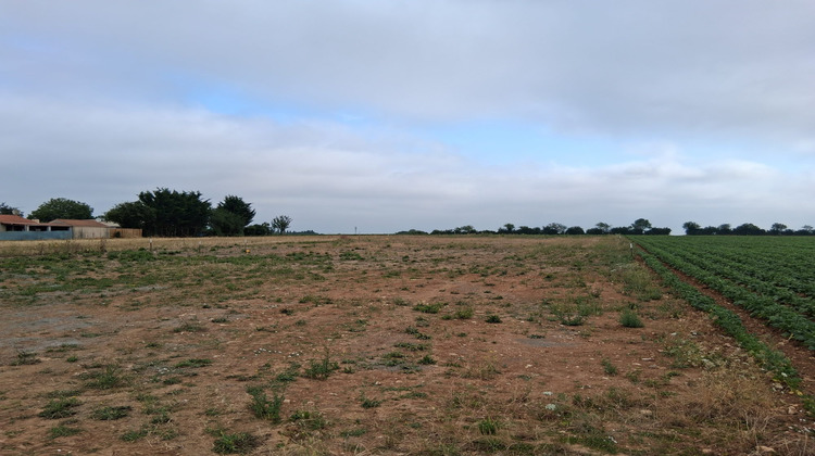 Ma-Cabane - Vente Terrain Sainte-Hermine, 1251 m²