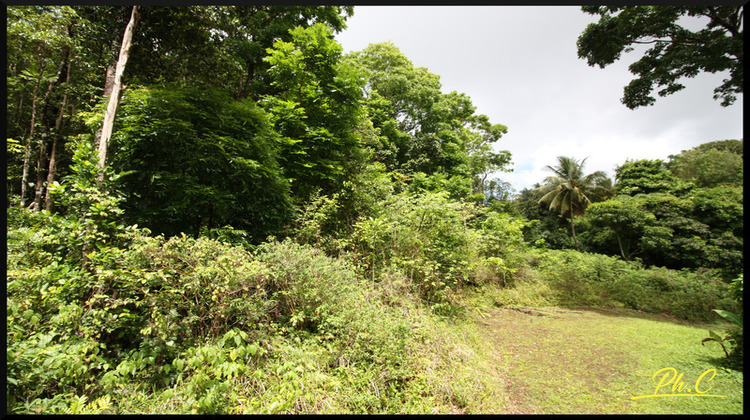 Ma-Cabane - Vente Terrain SAINTE LUCE, 2868 m²