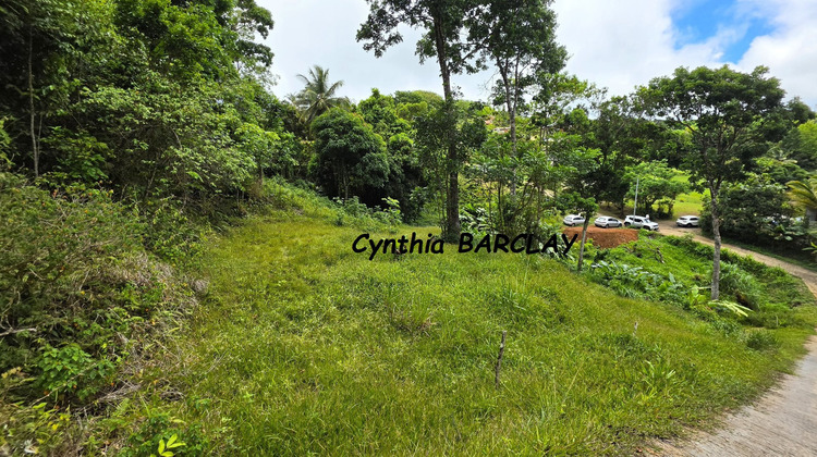 Ma-Cabane - Vente Terrain SAINTE LUCE, 2108 m²