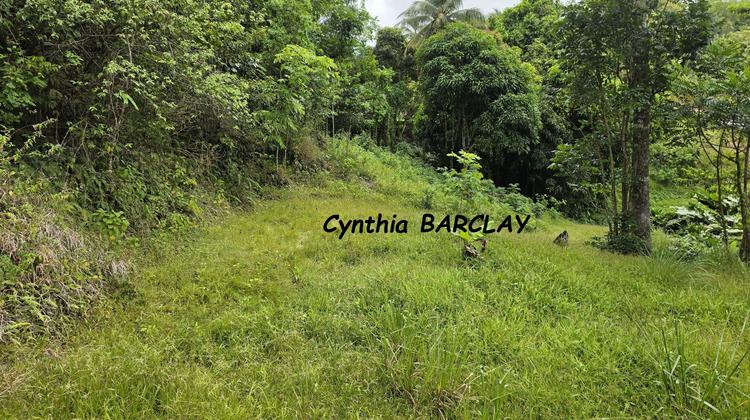 Ma-Cabane - Vente Terrain SAINTE LUCE, 2108 m²