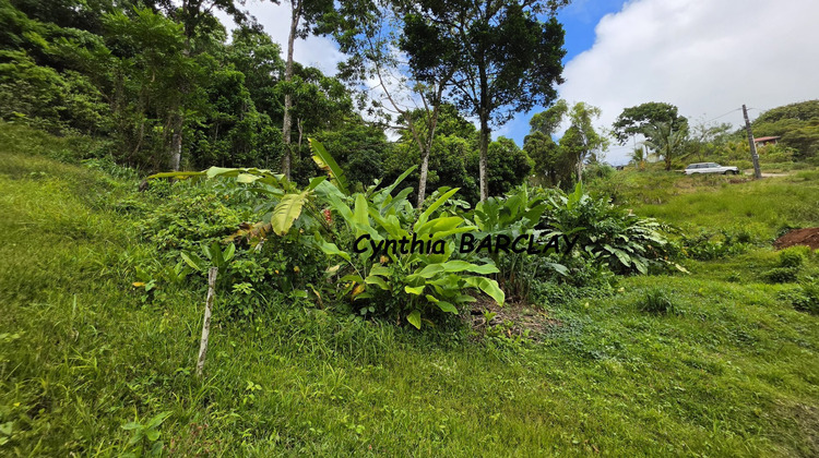 Ma-Cabane - Vente Terrain SAINTE LUCE, 2108 m²