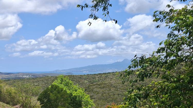 Ma-Cabane - Vente Terrain SAINTE LUCE, 626 m²