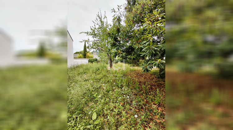 Ma-Cabane - Vente Terrain SAINTE-LUCE-SUR-LOIRE, 426 m²