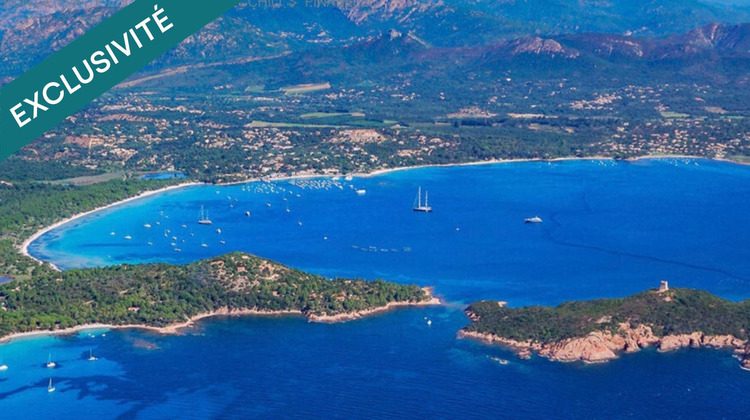 Ma-Cabane - Vente Terrain Sainte Lucie de Porto-Vecchio, 2260 m²