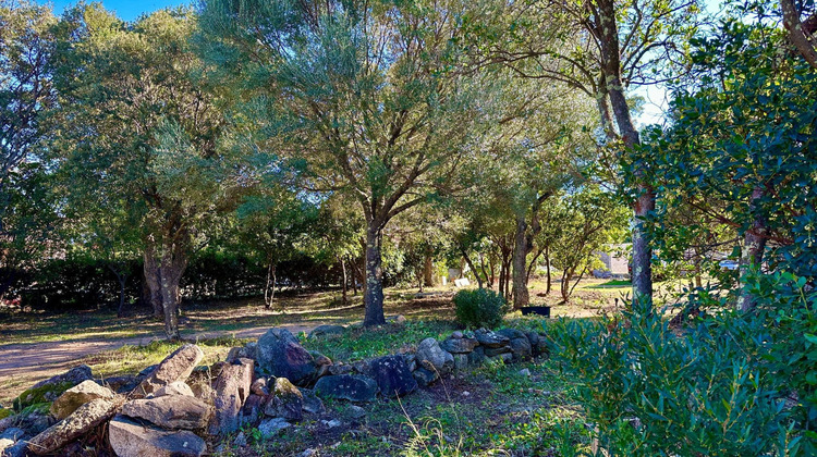 Ma-Cabane - Vente Terrain Sainte-Lucie de Porto-Vecchio, 861 m²