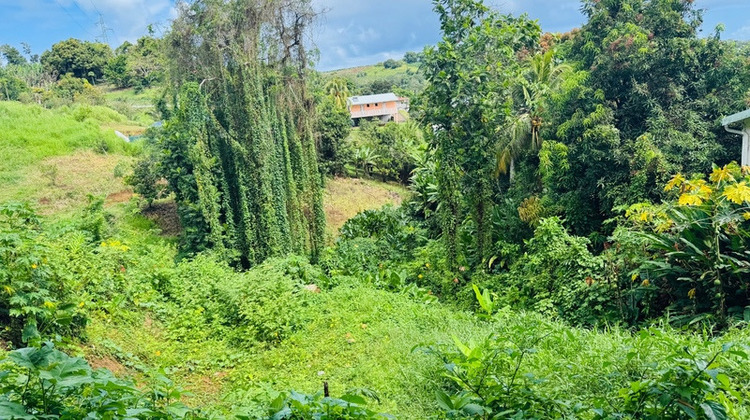 Ma-Cabane - Vente Terrain SAINTE MARIE, 1320 m²