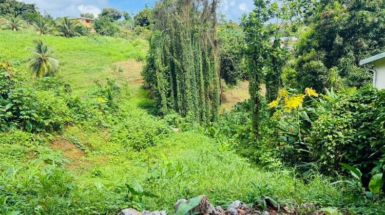Ma-Cabane - Vente Terrain SAINTE MARIE, 1320 m²
