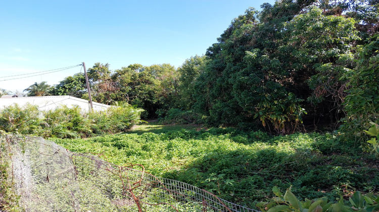 Ma-Cabane - Vente Terrain Sainte-Marie, 700 m²