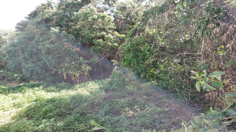 Ma-Cabane - Vente Terrain Sainte-Marie, 700 m²