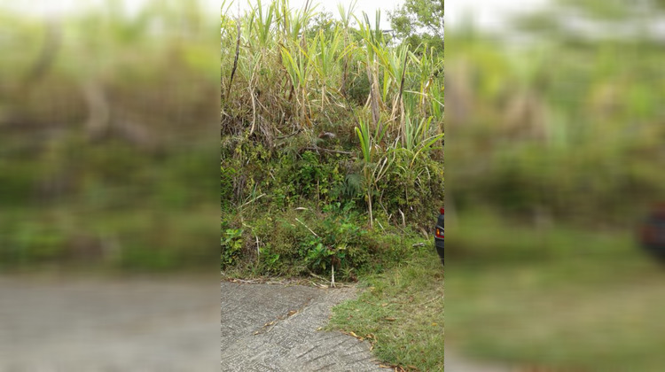 Ma-Cabane - Vente Terrain SAINTE MARIE, 641 m²