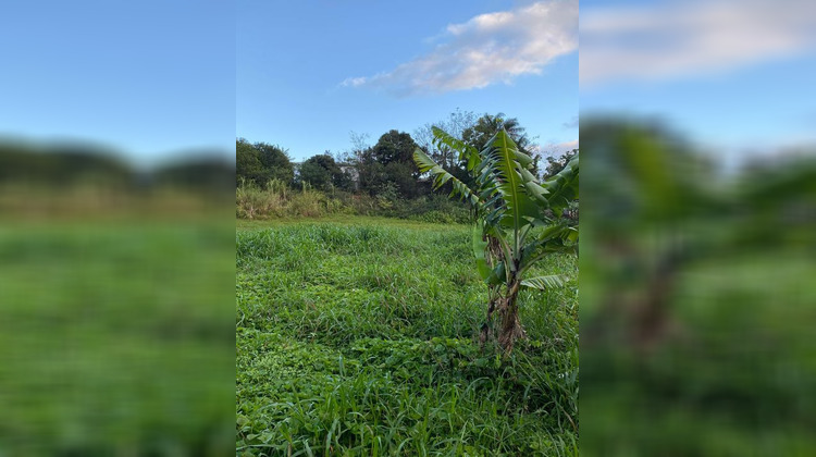 Ma-Cabane - Vente Terrain SAINTE MARIE, 772 m²