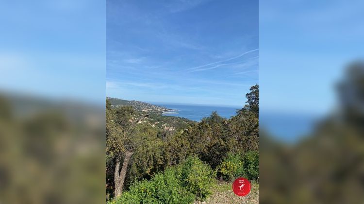 Ma-Cabane - Vente Terrain Sainte-Maxime, 2045 m²