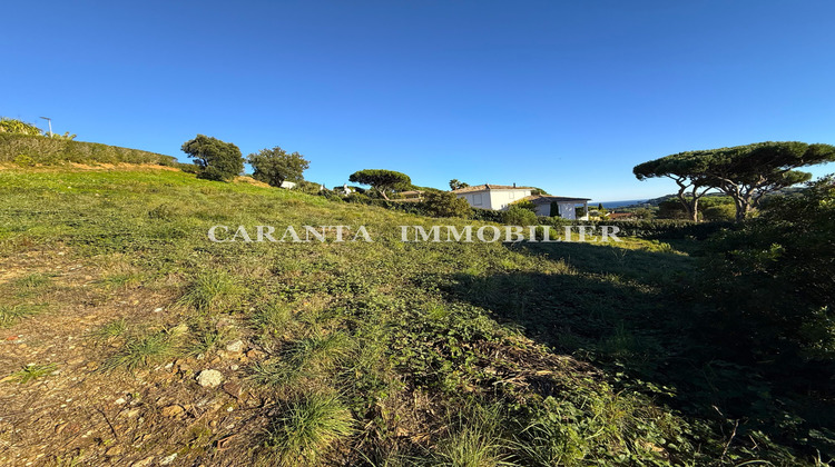 Ma-Cabane - Vente Terrain Sainte-Maxime, 1891 m²