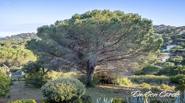 Ma-Cabane - Vente Terrain Sainte-Maxime, 1725 m²