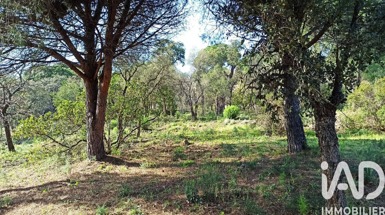 Ma-Cabane - Vente Terrain Sainte-Maxime, 3231 m²