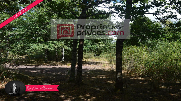 Ma-Cabane - Vente Terrain SAINTE REINE DE BRETAGNE, 30000 m²