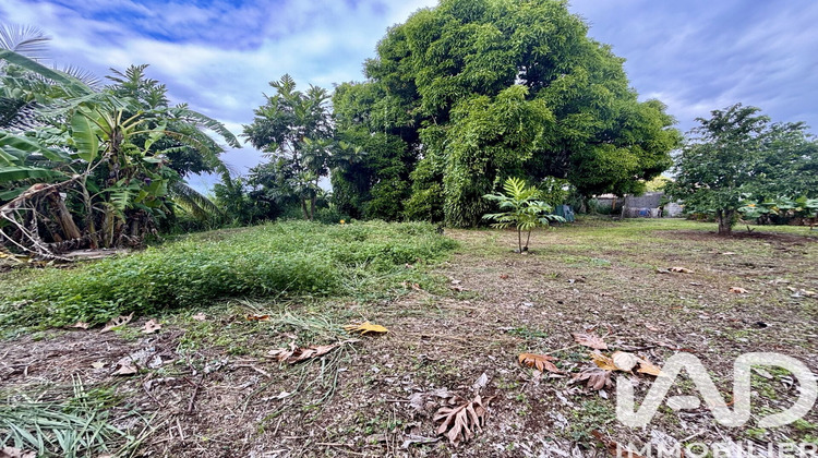 Ma-Cabane - Vente Terrain Sainte-Rose, 400 m²