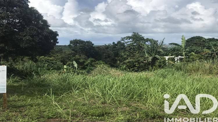 Ma-Cabane - Vente Terrain Sainte Rose, 1502 m²