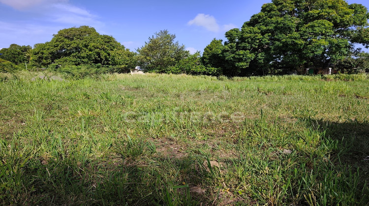 Ma-Cabane - Vente Terrain SAINTE ROSE, 800 m²