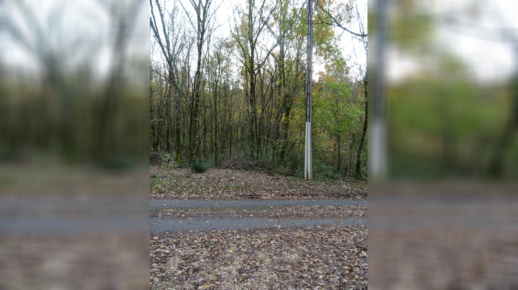 Ma-Cabane - Vente Terrain Saïx, 1000 m²