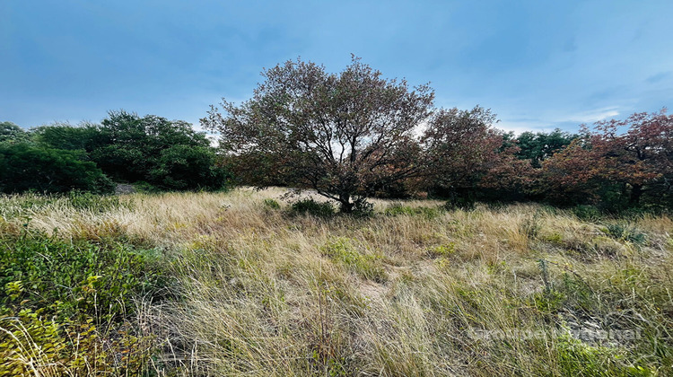 Ma-Cabane - Vente Terrain SALAZAC, 3644 m²