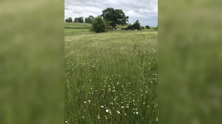 Ma-Cabane - Vente Terrain Salies-de-Béarn, 3421 m²