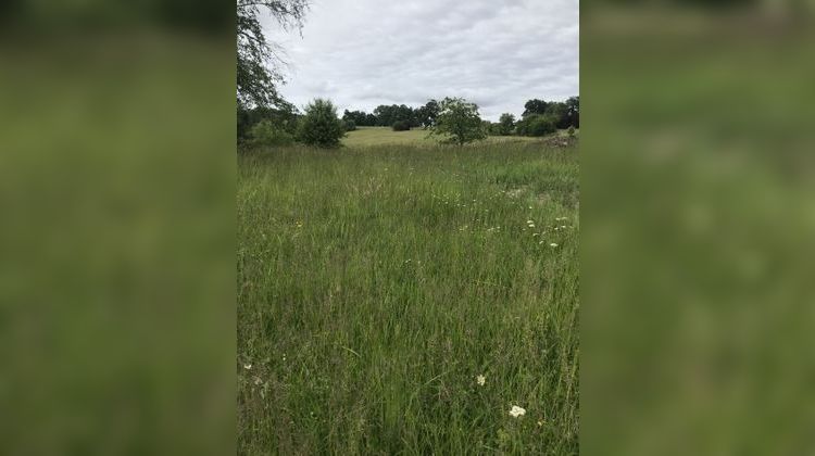 Ma-Cabane - Vente Terrain Salies-de-Béarn, 3421 m²